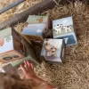 Little Dutch Kostky komín 10 ks Farma