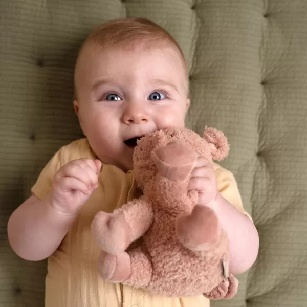 Little Dutch Plyšové prasátko 17 cm Farma