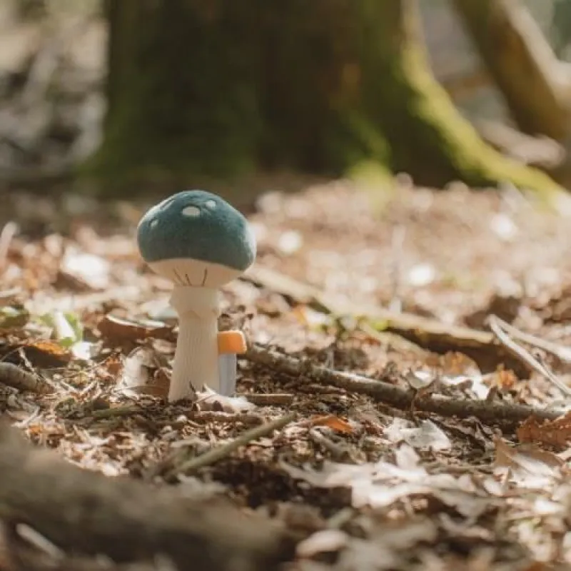 Little Dutch Chrastítko houba Forest Friends