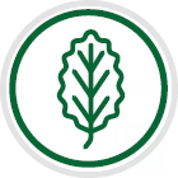 CANPOL BABIES Kousátko dřevěno/silikonové