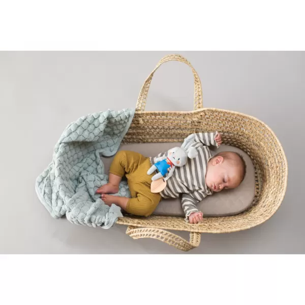 Taf Toys Králíček Rylee