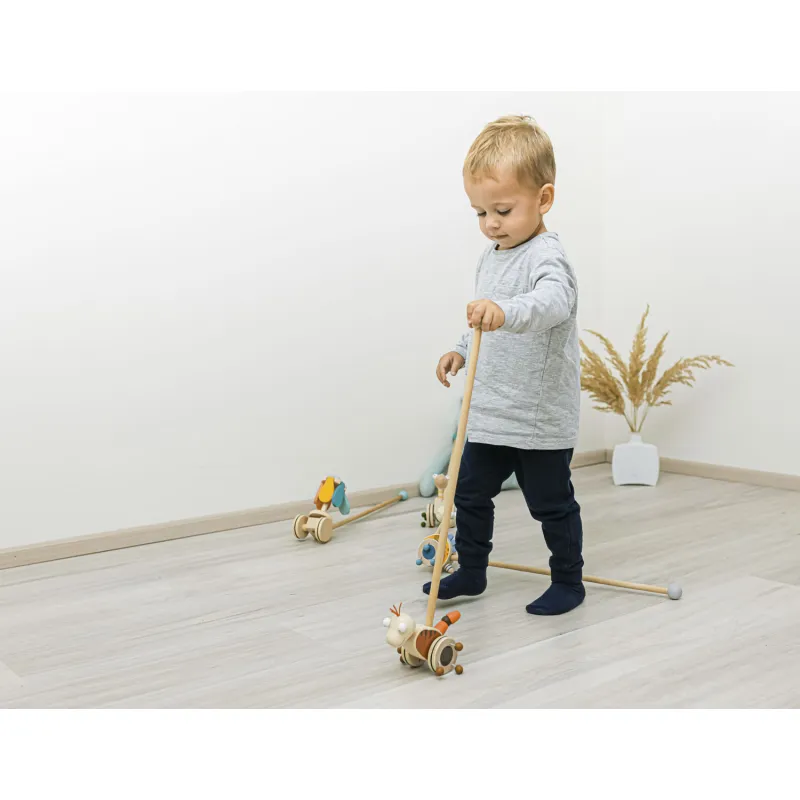 Zopa Dřevěný jezdík Dinosaurus