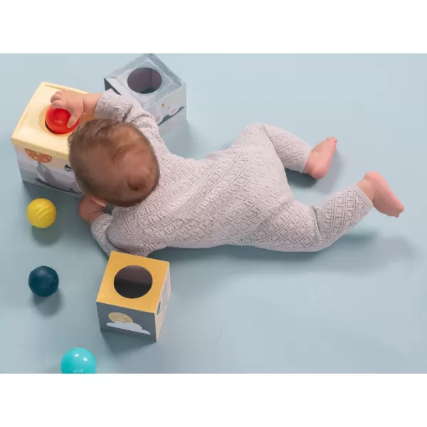 Taf Toys Sada kostek a míčků Severní pól