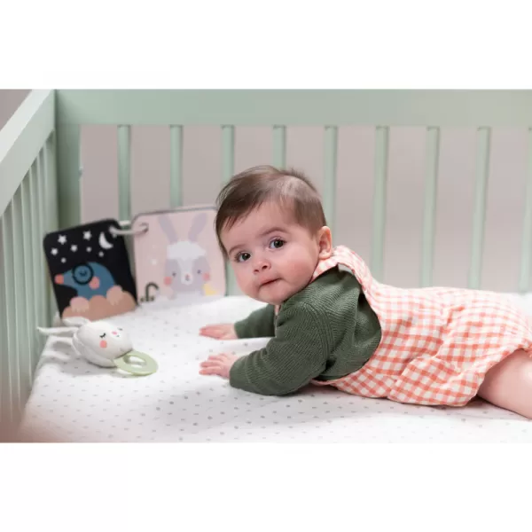 Taf Toys Sada hraček Bedtime Kit