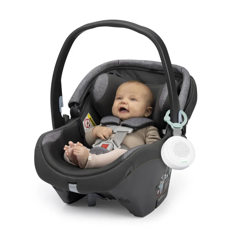 INGENUITY Přehrávač hudební Pock-a-Bye Baby™ 6m+