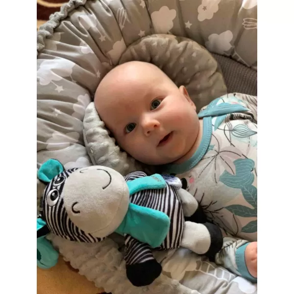 Baby Mix Edukační hrající plyšová hračka s klipem zebra