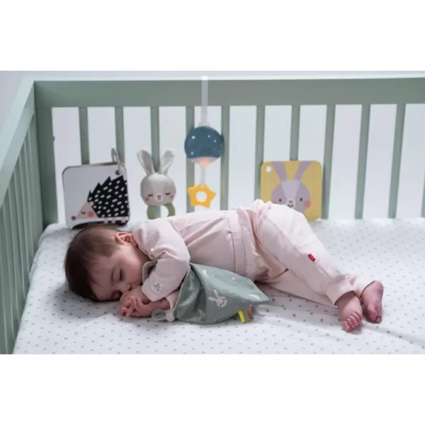 Taf Toys Sada hraček Bedtime Kit