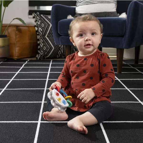 BABY EINSTEIN Tamburína s chrastítkem 3m+