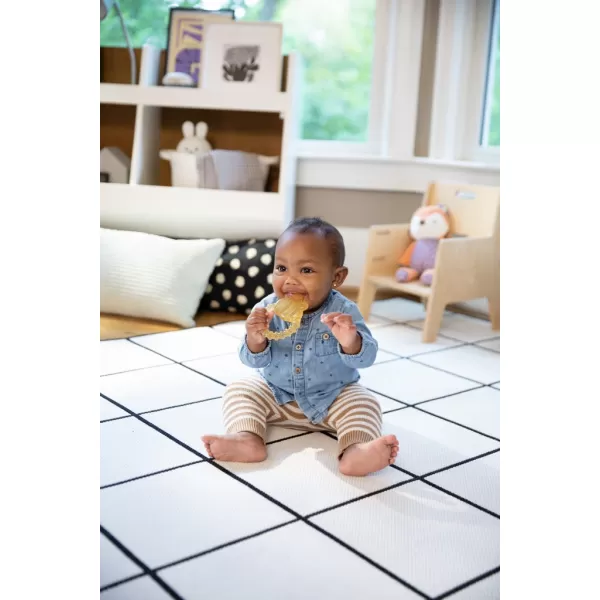 INGENUITY Kousátko chladící s destilovanou vodou Bomby™ 3m+