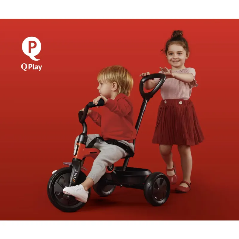 QPLAY Tříkolka Ant plus, věk 2 - 6 let