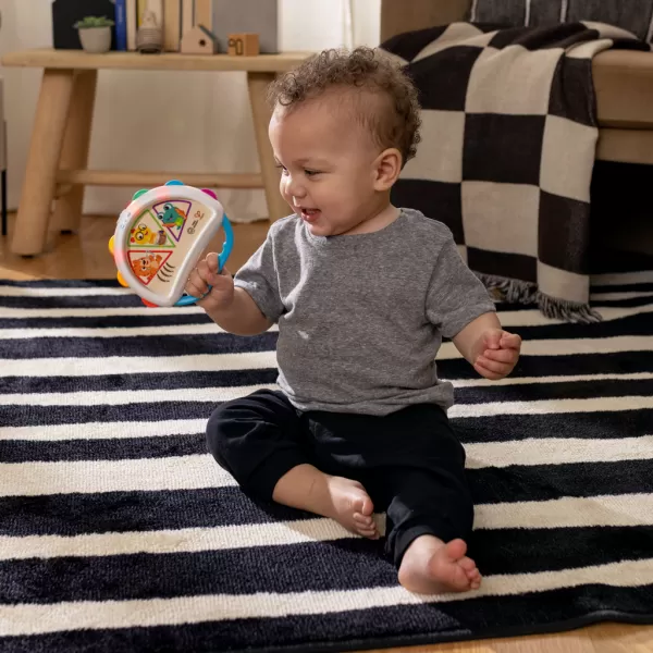 BABY EINSTEIN Hračka hudební tamburína Tap & Shake™ Magic Touch™ HAPE 6m+