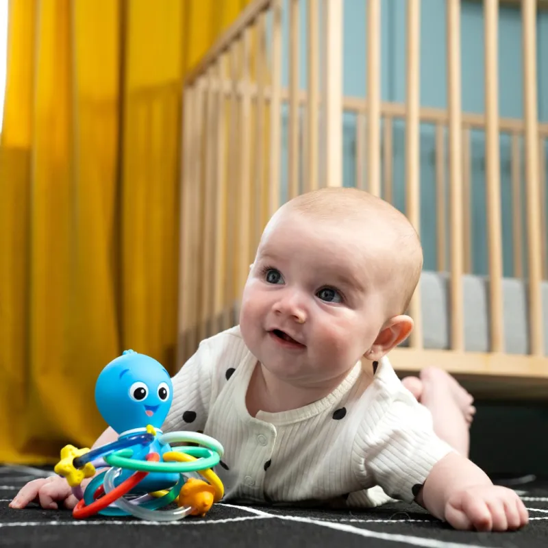 BABY EINSTEIN Kousátko/chrastítko Opus's Shake & Soothe™ 0m+