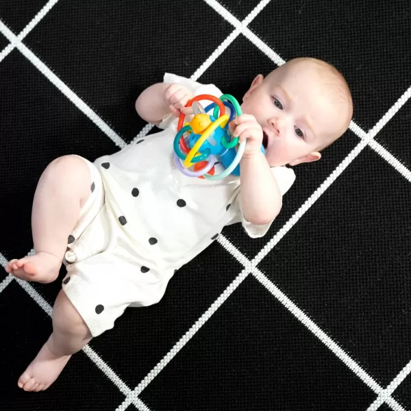 BABY EINSTEIN Kousátko/chrastítko Opus's Shake & Soothe™ 0m+