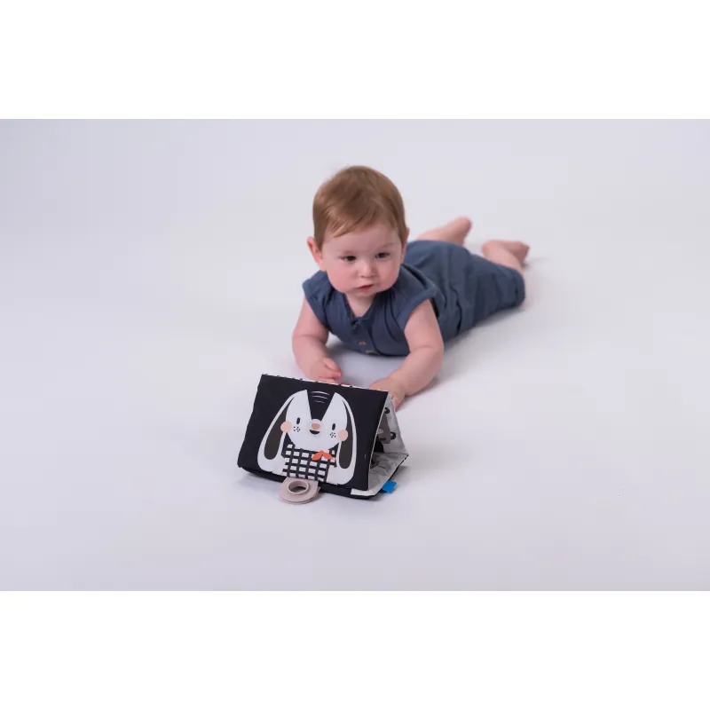 Taf Toys Sada hraček Black&White Kit