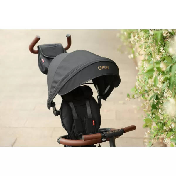 QPLAY Tříkolka Rito Deluxe, 6 v 1, věk 10-72 měsíců