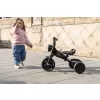 QPLAY Tříkolka Triduro, věk 2-6 let