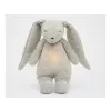 Barva Grey
