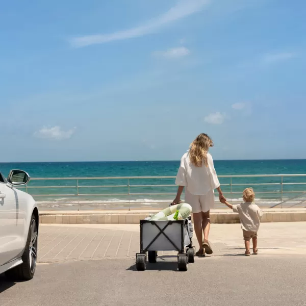 KINDERKRAFT Vozík přepravní skladací Wagon Rollster