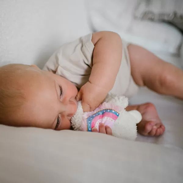 BABYONO Hračka mazlíček Lama Lulu růžová 0m+