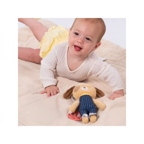 Taf Toys Pejsek Daniel