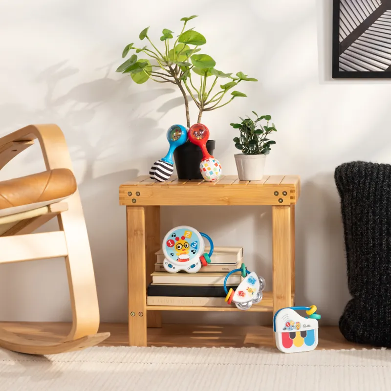 BABY EINSTEIN Hračka chrastítko Shake & Groove™ 2ks, 0m+