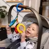 BABY EINSTEIN Hračka senzorická na C kroužku Touch of Nature™ 0m+