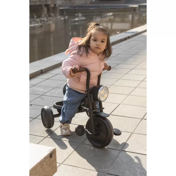 QPLAY Tříkolka Triduro, věk 2-6 let