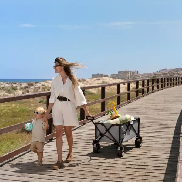 KINDERKRAFT Vozík přepravní skladací Wagon Rollster