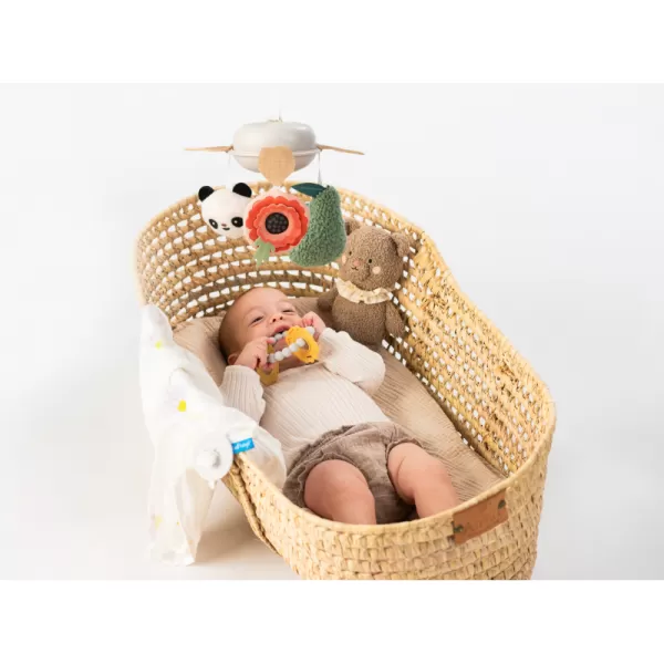 Taf Toys Sada hraček Newborn Luxe