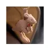 Závěsný klokan Kangaroots