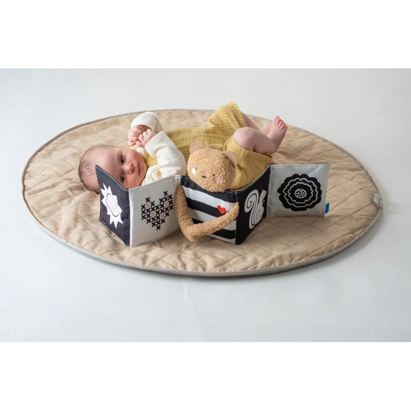 Taf Toys Medvídek plyšový s knížkou Snuggle Bear