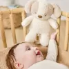 NATTOU Hračka plyšová hudební Teddy pejsek 24 cm, 0m+