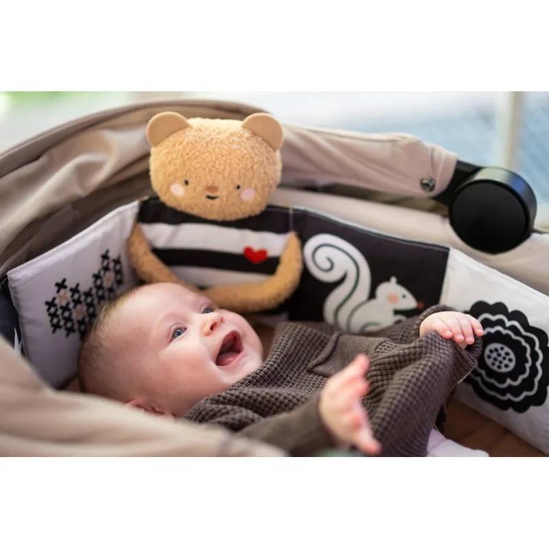Taf Toys Medvídek plyšový s knížkou Snuggle Bear