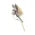 Milly Mally Hobby Horse Plus grey