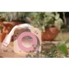 Little Dutch Box na prohlížení hmyzu dřevěný Fairy Garden