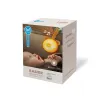 Taf Toys Hudební medvídek se světlem Dream Bear