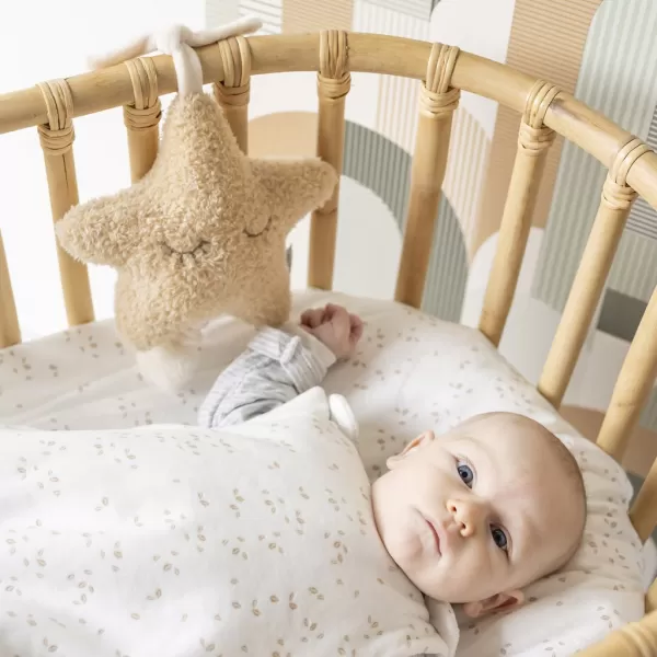 NATTOU Hračka hudební Teddy hvězdička 25 cm, 0m+