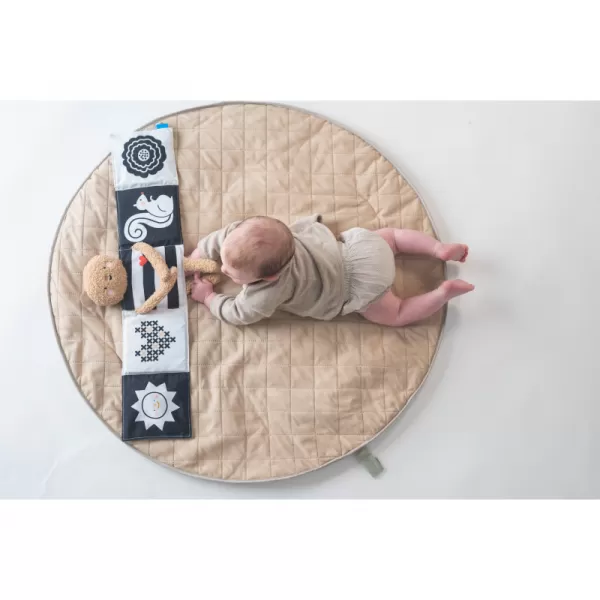 Taf Toys Medvídek plyšový s knížkou Snuggle Bear