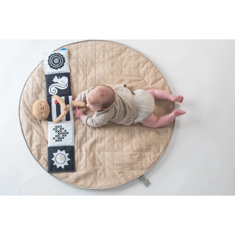 Taf Toys Medvídek plyšový s knížkou Snuggle Bear