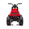 Milly Mally Elektrická čtyřkolka Ford F-150 Raptor red