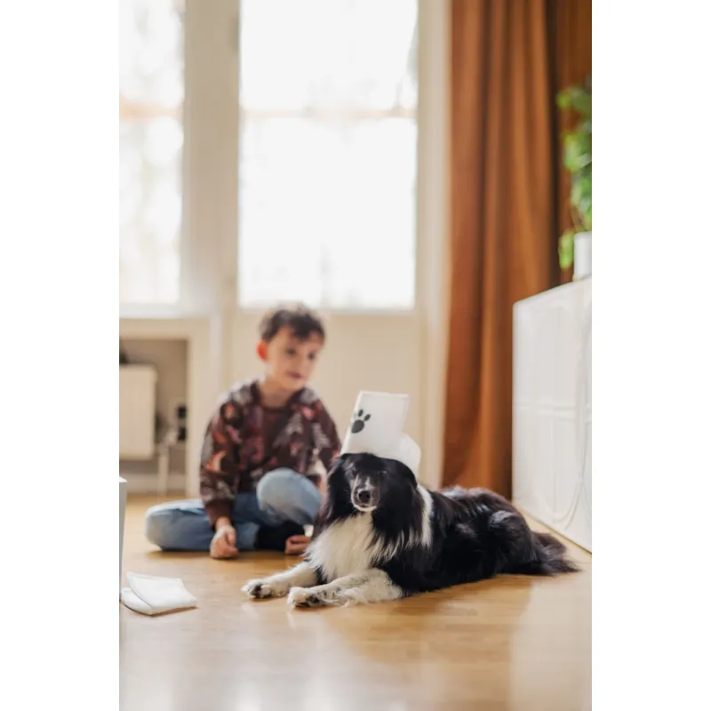 JABADABADO Set pro Veterináře