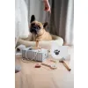 JABADABADO Set pro Veterináře
