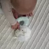 Ingenuity Chrastítko plyšová kulatá Sheppy™ 0 m+