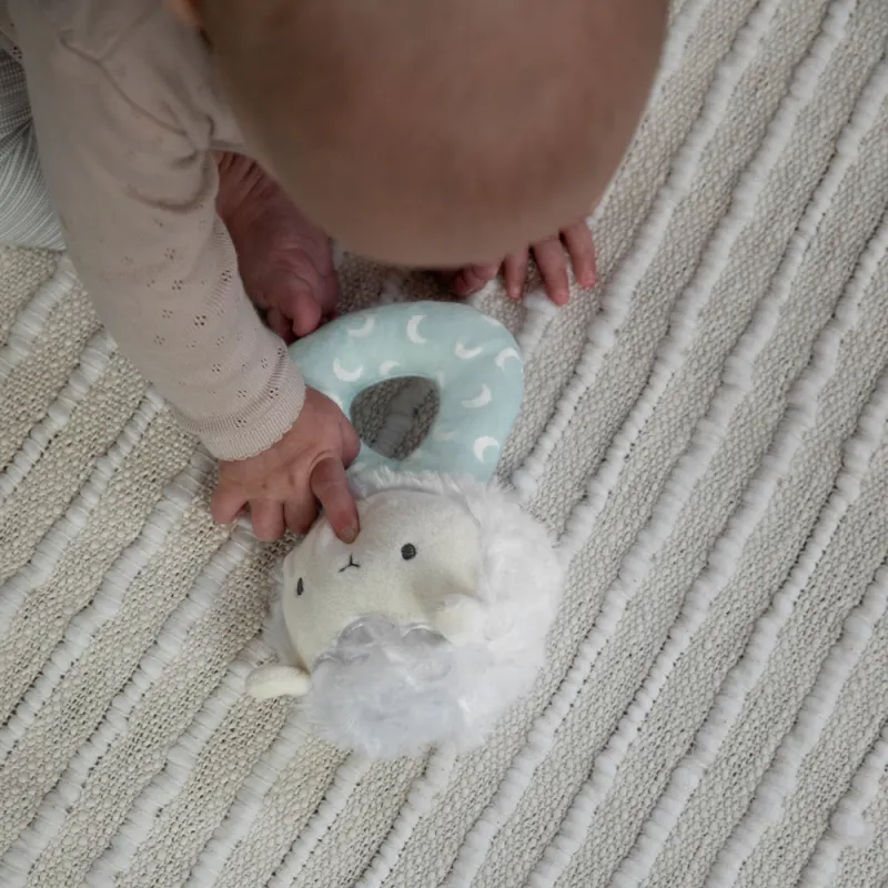 Ingenuity Chrastítko plyšová kulatá Sheppy™ 0 m+